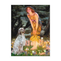 EnglishSetter 1 - MidEve postcards