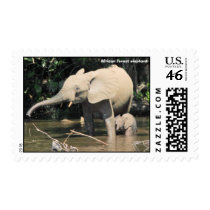 (enhanced) African forest elephants, Congo Postage
