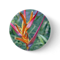 Enhanced Hawaiian Heliconia Flower Buttons