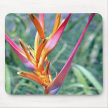 Enhanced Hawaiian Heliconia Flower Mouse Pad