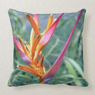 Enhanced Hawaiian Heliconia Flower Throw Pillows