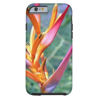 Enhanced Heliconia Flower iPhone 6 Case