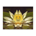 Enhanced Lotus1 postcards by postcardsfromtheedge Enhanced Lotus1 postcards