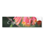 Enjoy Life Bumper Sticker bumper stickers