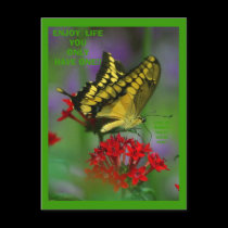 ENJOY  LIFE! Post card postcards