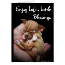 Enjoy Life's Little Blessings Card
