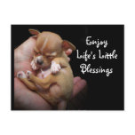 Enjoy Life's Little Blessings Post Cards
