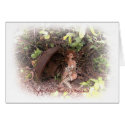 Enjoy Life's Quiet Moments cards