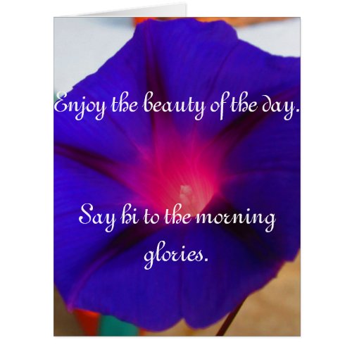 Enjoy The Beauty of The Day With Morning Glories