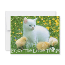 Enjoy The Little Things Cute Animals invitations by zealidge Enjoy The Little Things Cute Animals invitations