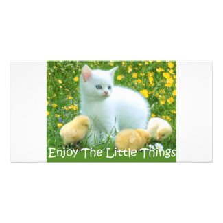 Enjoy The Little Things Cute Animals photocard