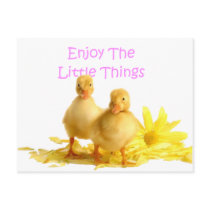 Enjoy The Little Things, Ducklings Postcard
