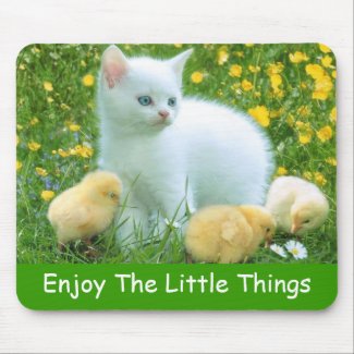 Enjoy The Little Things mousepad