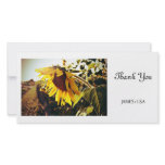 Enjoy The Sun Customized Photo Card
