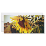 Enjoy The Sun Customized Rack Card
