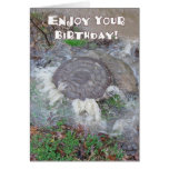Enjoy Your Birthday! Greeting Cards