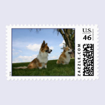 Enjoying a Summer Day postage