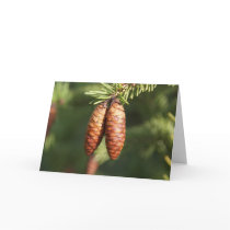 Enjoying the Sunlight cards by AnnaMarie777 Enjoying the Sunlight cards