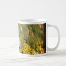 “Enjoying the View” Squirrel Coffee Mug