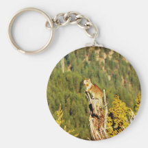 “Enjoying the View” Squirrel Key Chains