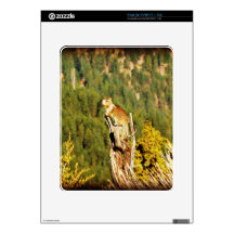 “Enjoying the View” Squirrel Skins For iPad