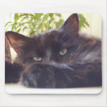 Enjoying your mouse mousepads