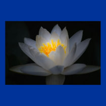 enlightenment posters