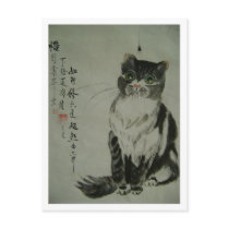 enlightment postcards
