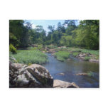 Eno River, North Carolina Postcard