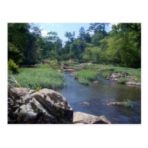 Eno River, North Carolina Postcard