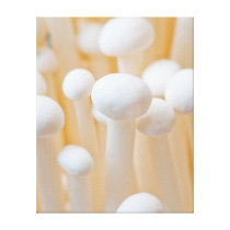 Enoki Wrapped Canvas 16 x 20