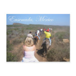 Ensenada, Mexico Post Card