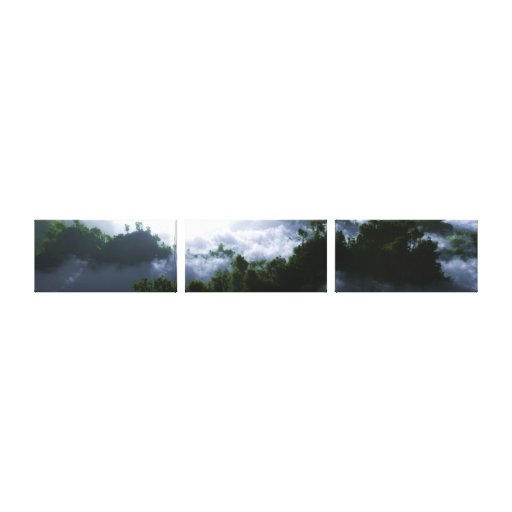 Enshrouded Panorama Canvas Prints
