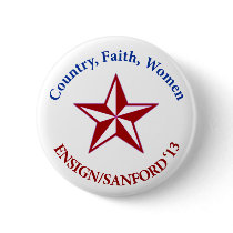 Ensign Sanford 2013 buttons