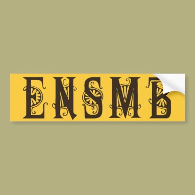 ENSMB dark acronym sticker Bumper Stickers by emperornorton
