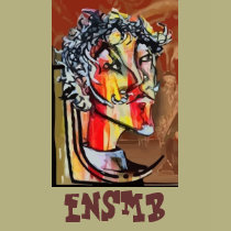 ENSMB mens brown ringer T-Shirt