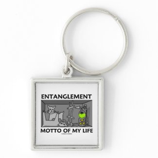 Entanglement Motto Of My Life (Quantum Physics) Keychain