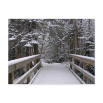 Enter - New Hampshire Snow Scene Postcard by AliciaMaePrints Enter - New Hampshire Snow Scene Postcard