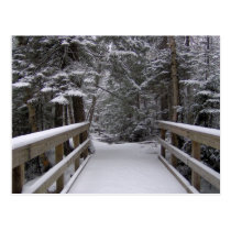 Enter - New Hampshire Snow Scene Postcard postcards