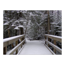 Enter - New Hampshire Snow Scene posters