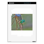 Enter the Dragon....fly iPad 2 Skin