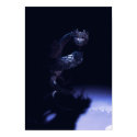 Enter The Dragon posters