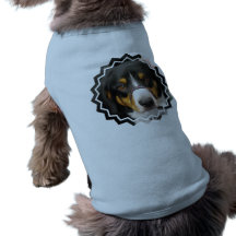 Entlebucher Mountain Dog Pet Shirt
