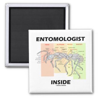 Entomologist Inside (Ant Worker Anatomy) Refrigerator Magnets