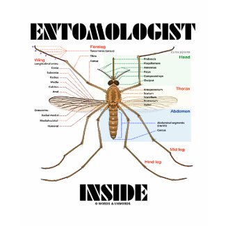 Entomologist Inside (Mosquito Anatomy) shirt