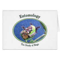 Entomology Caterpillar Bug Card