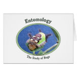 Entomology Caterpillar Bug Card