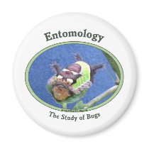 Entomology Caterpillar Bug Magnets