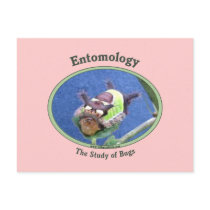 Entomology Caterpillar Bug Post Card