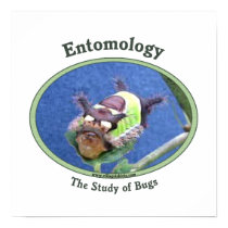 Entomology Caterpillar Bug Poster